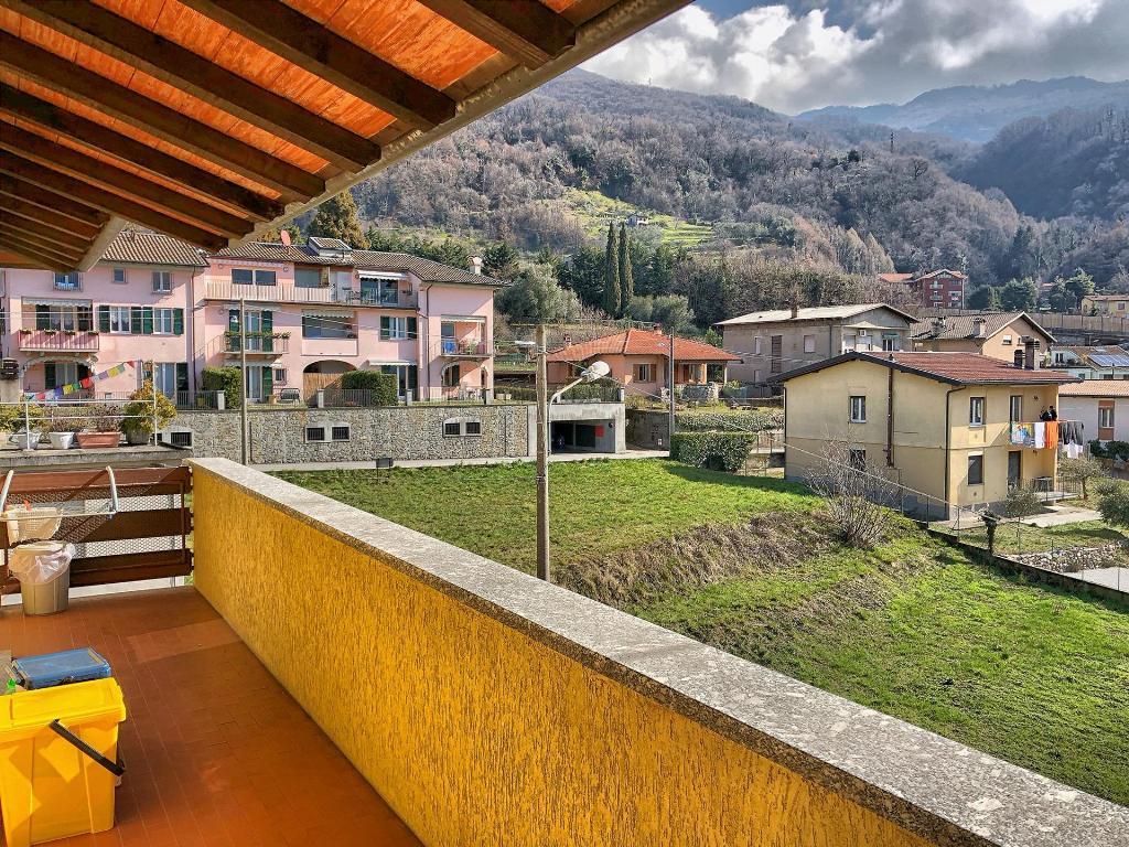 Appartamento ABBADIA LARIANA affitto   Via per Linzanico Lisolago Servizi Immobiliari