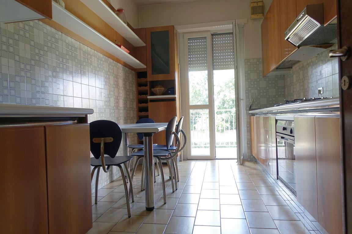 Appartamento MONZA affitto  SAN FRUTTUOSO Anzani Bassi Immobiliare