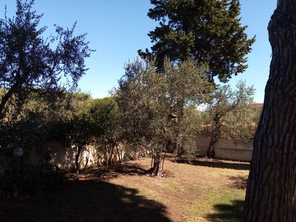 Villa Bifamiliare MOLFETTA vendita   VIA CARRARE PRESTIGE IMMOBILIARE SRLS