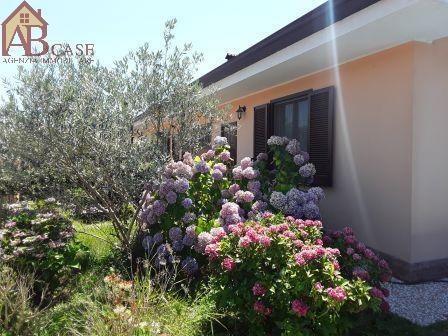 Villa Affiancata - Schiera TROMELLO vendita   Via Mazzini Acquaotta Basilia Maria